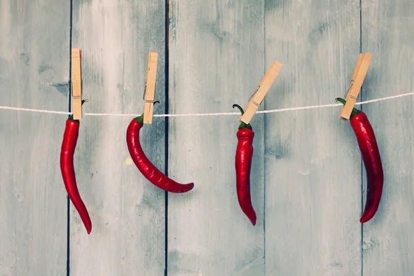 Chili pepper Royalty Free Stock Images