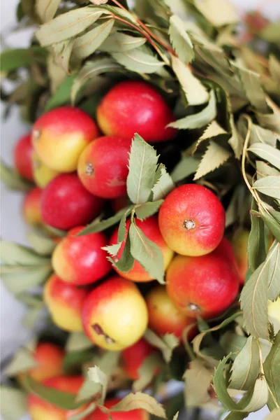 Autumn fruits — Stock Photo, Image