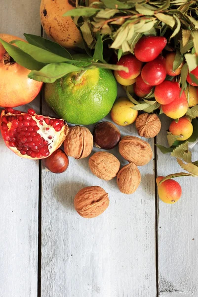 Herbstfrüchte — Stockfoto