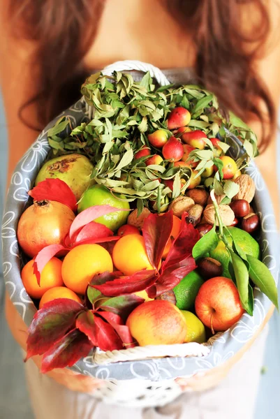 Frutas de otoño — Foto de Stock