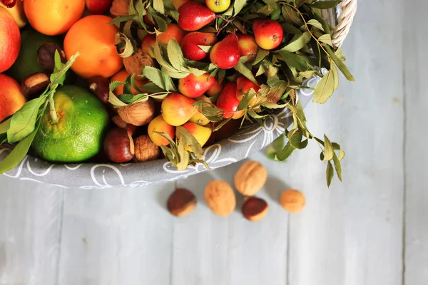 Autumn fruits — Stock Photo, Image