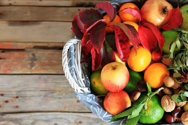 Frutas de otoño — Foto de Stock