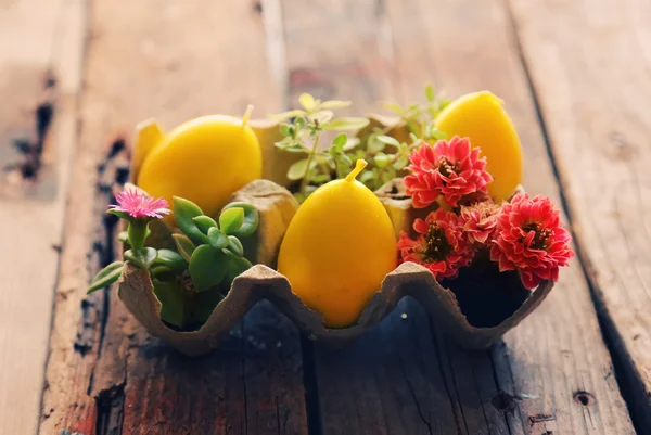 Easter eggs — Stock Photo, Image