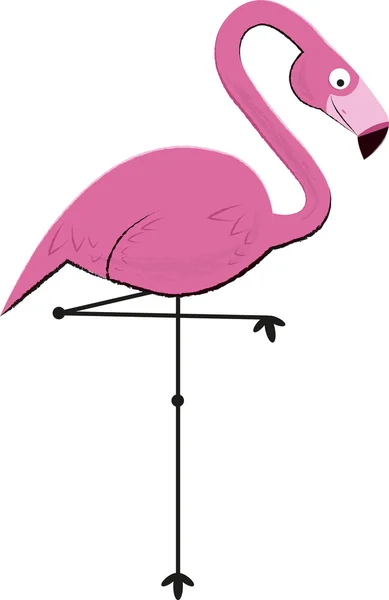 Pink Flamingo — Stock Vector