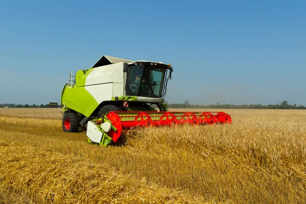 A combine harvester in a golden wheat field — Stock Photo, Image