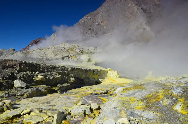 Ada "beyaz ada". yüzey aktif bir yanardağ krater. Yeni Zelanda. — Stok fotoğraf