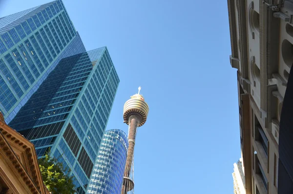 Arranha-céus e torre de Sydney no fundo do céu azul . — Fotografia de Stock