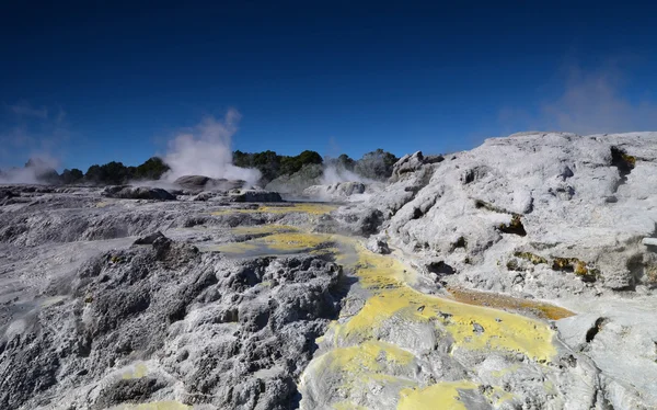 Whakarewarewa Valley of Geysers. Nouvelle Zelandiiya.Geotermalny Rese — Photo