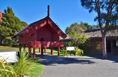Pataca (ev depolama kaynakları). Maori kabilesi. Yeni Zelanda.