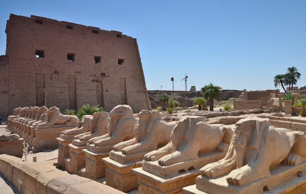 Amon Tapınağı karnak tapınağında. Luxor. Mısır. — Stok fotoğraf
