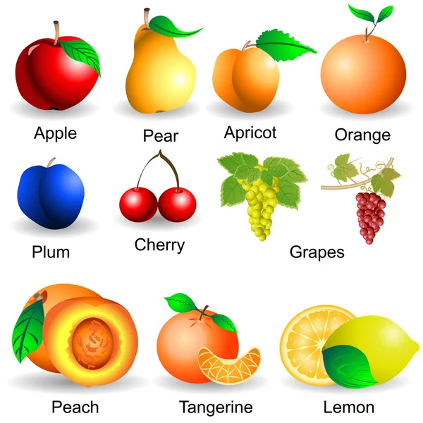 Коллекция фруктов — стоковый вектор