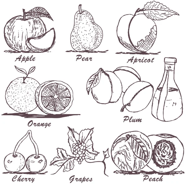 Bosquejo de frutas 1 — Archivo Imágenes Vectoriales