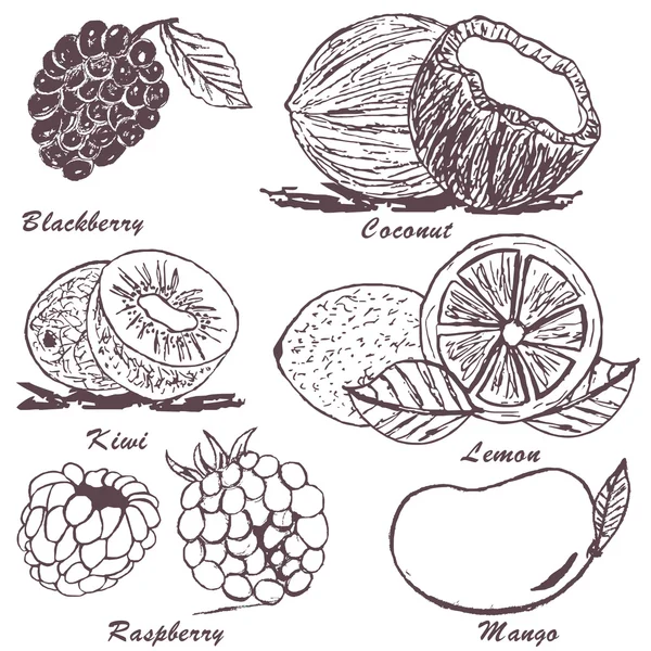 Fruit schets 3 — Stockvector