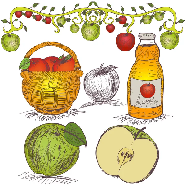 Набор яблок — стоковый вектор