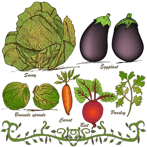 Hand drawn vegetable set 2 — Stock Vector