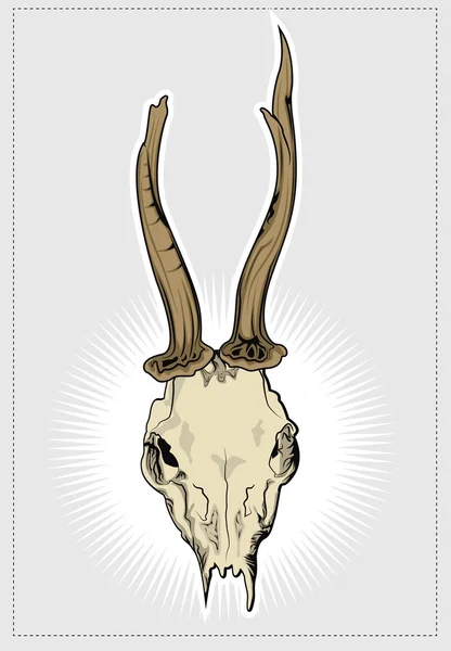 Оленьи черепа — стоковый вектор