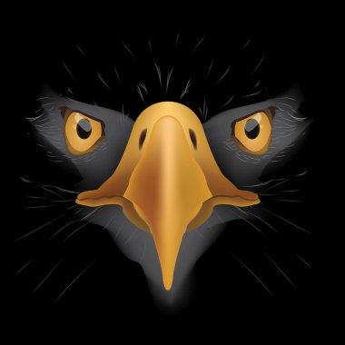KARANLIK EAGLE
