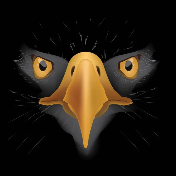 Black eagle — Stock Vector
