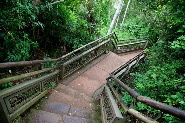 Caminho pelo Parque Nacional do Iguaçu — Fotografia de Stock