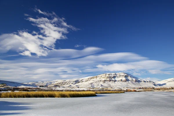 Laguna Nimez, Argentina — Fotografia de Stock