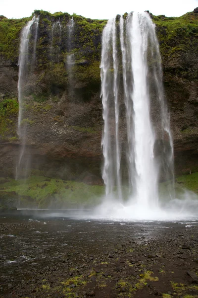 Seljalandsfoss, IJsland — Stockfoto