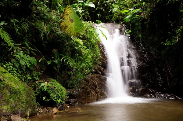 Mindo Waterfall — Stock Photo, Image