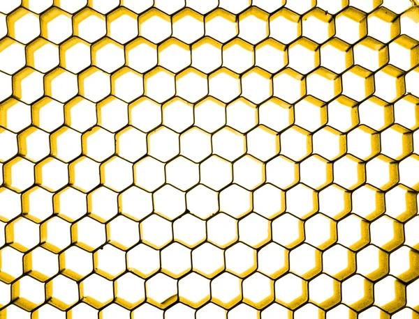 Honeycomb — Stock Photo, Image