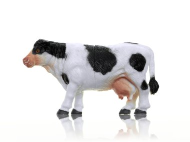 çiftlik hayvanları