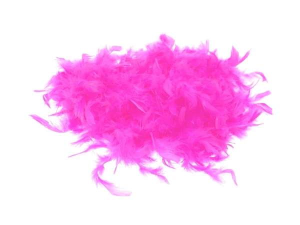 Feathers — Stock Photo, Image