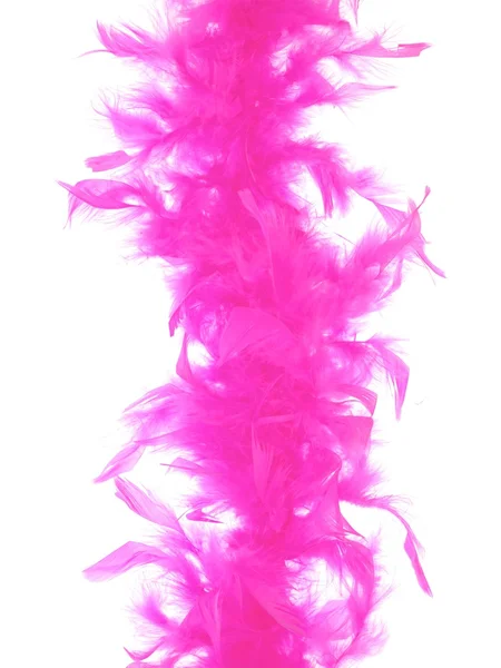 Feathers — Stock Photo, Image