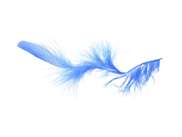 Feathers — Stock Photo, Image