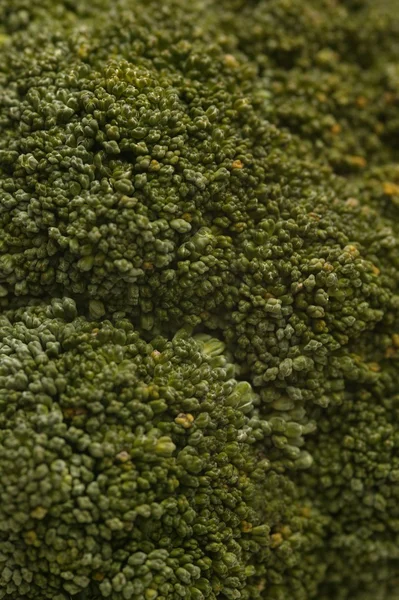 Brocoli — Foto Stock