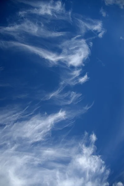 コントラストの強い空 — ストック写真