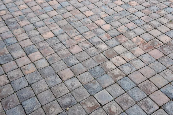 Brick Paving — Stock Photo, Image