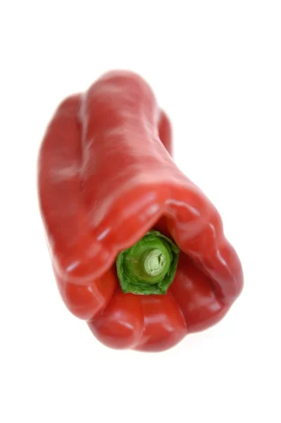 Capsicum — Stock Photo, Image