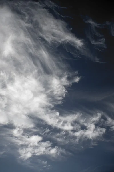 Kontrastní obloha — Stock fotografie