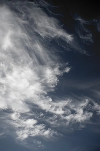 Cielo contrastado — Foto de Stock