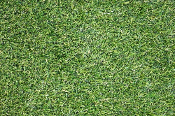 Artificial Grass — Stock Photo, Image