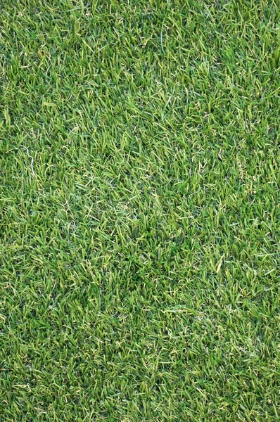 Artificial Grass — Stock Photo, Image