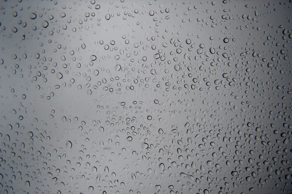 Rain Droplets — Stock Photo, Image