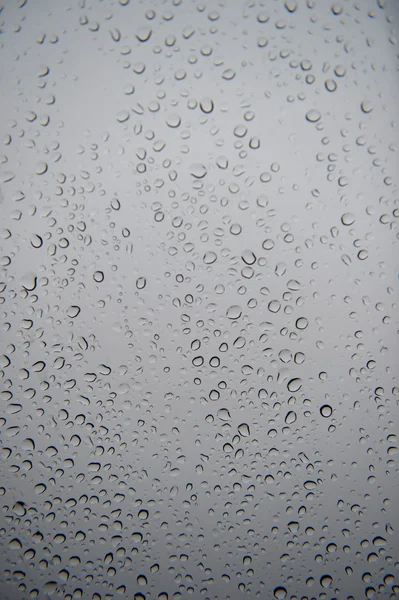 Rain Droplets — Stock Photo, Image