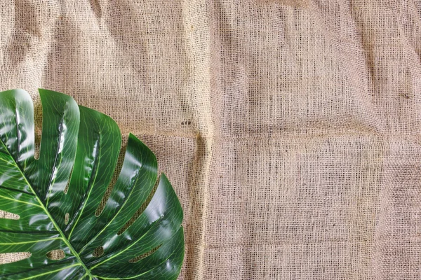 Тропические Листья Монстера Деревянном Фоне — стоковое фото
