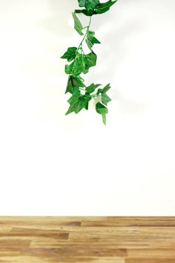 Yapay bir sarmaşık sarmaşığının stüdyo fotoğrafı.