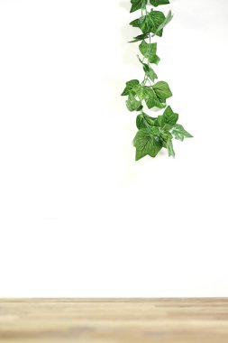 Yapay bir sarmaşık sarmaşığının stüdyo fotoğrafı.