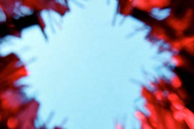 Noel arkaplanının stüdyo fotoğrafı.