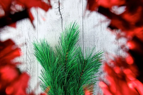 Студийное Фото Рождественского Фона — стоковое фото
