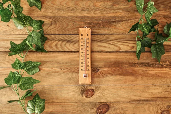 Een Studio Foto Van Een Outdoor Van Hout Thermometer — Stockfoto