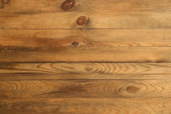 Fotoğraf arkaplanının stüdyo fotoğrafı.