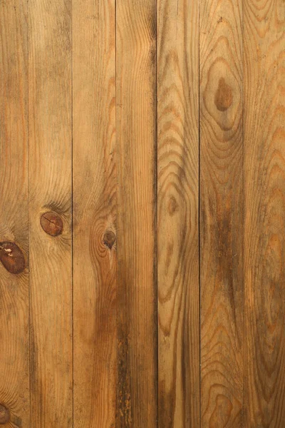 Fotoğraf arkaplanının stüdyo fotoğrafı.