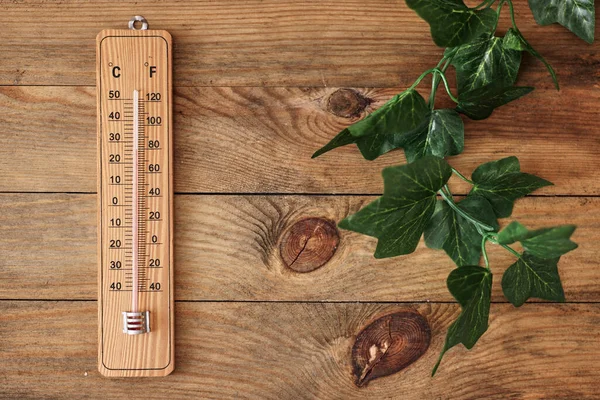 Studio Photo Outdoor Wooden Thermometer — Stock Photo, Image